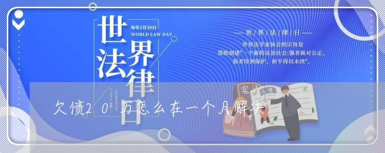 欠债20万怎么在一个月解决/2023022610482 欠债20万怎么在一个月解决/2023022610482