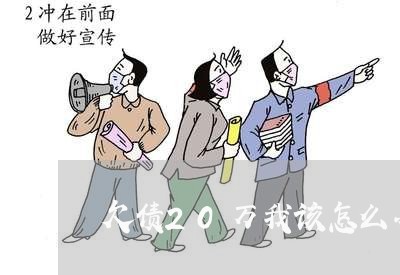 欠债20万我该怎么办呢法律/2023022773036 欠债20万我该怎么办呢法律/2023022773036