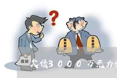 欠债3000万无力偿还/2023092862726