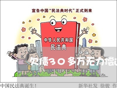 欠债30多万无力偿还该怎么办/2023011960715