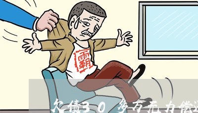 欠债30多万无力偿还该怎么办/2023100739279