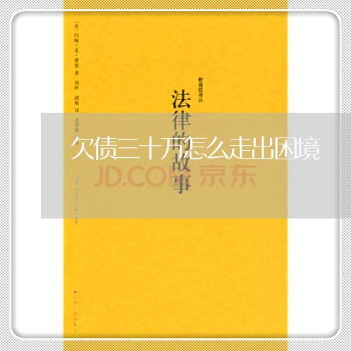 欠债三十万怎么走出困境/2023022669392 欠债三十万怎么走出困境/2023022669392