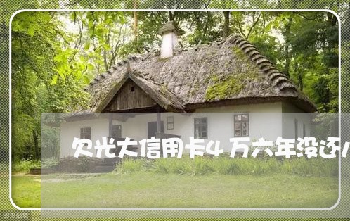 欠光大信用卡4万六年没还八万