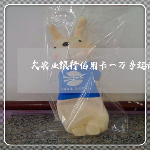 欠农业银行信用卡一万多起诉