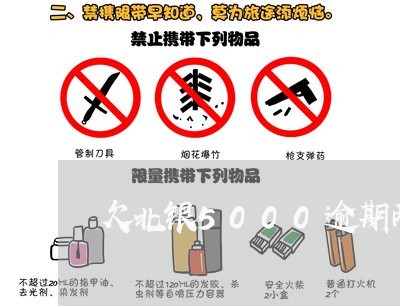欠北银5000逾期两年 欠北银5000逾期两年