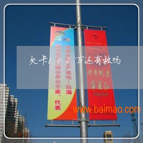 欠卡100万还有救吗