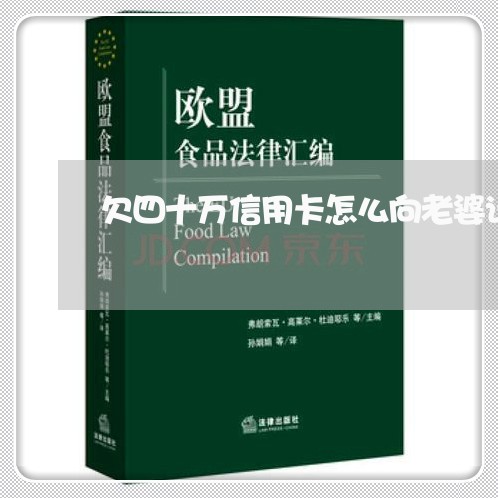 欠四十万信用卡怎么向老婆说 欠四十万信用卡怎么向老婆说