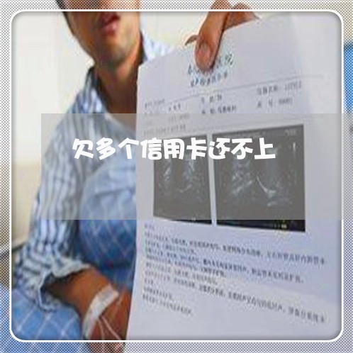 欠多个信用卡还不上 欠多个信用卡还不上