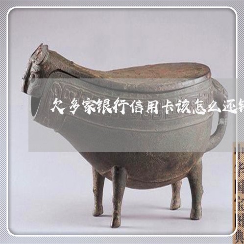 欠多家银行信用卡该怎么还钱/2023030125837 欠多家银行信用卡该怎么还钱/2023030125837