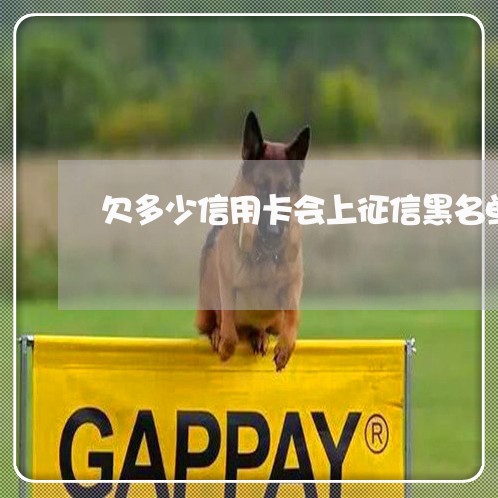 欠多少信用卡会上征信黑名单 欠多少信用卡会上征信黑名单