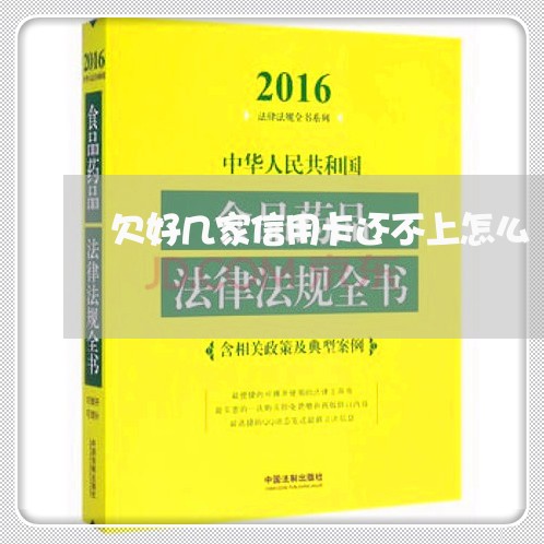 欠好几家信用卡还不上怎么/2023020721603