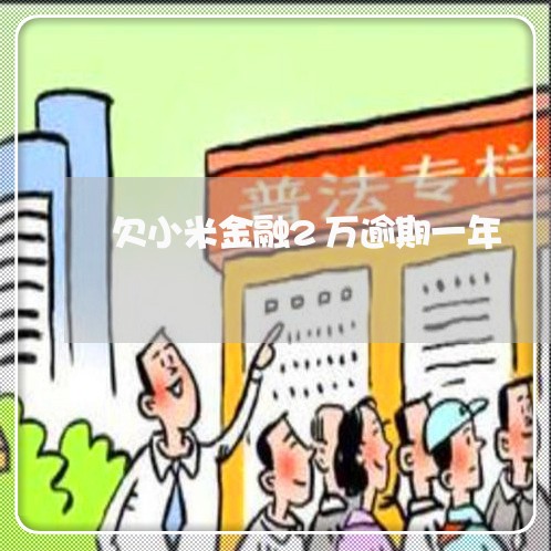 欠小米金融2万逾期一年