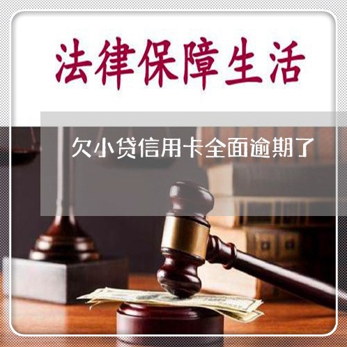 欠小贷信用卡全面逾期了 欠小贷信用卡全面逾期了