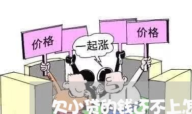 欠小贷的钱还不上怎么办/2023100793959