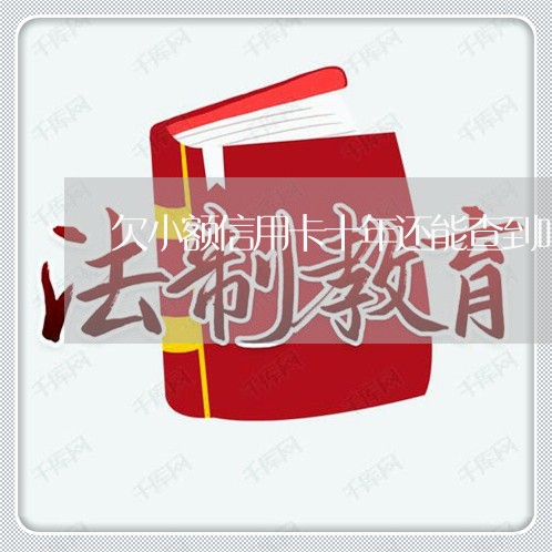 欠小额信用卡十年还能查到吗 欠小额信用卡十年还能查到吗
