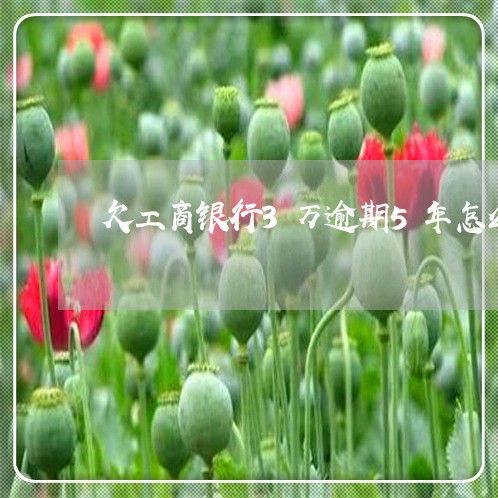 欠工商银行3万逾期5年怎么办