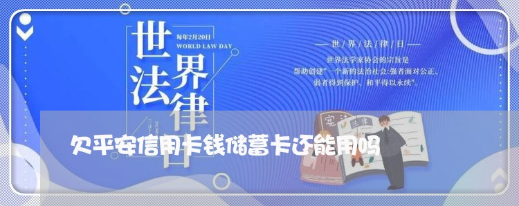 欠平安信用卡钱储蓄卡还能用吗 欠平安信用卡钱储蓄卡还能用吗