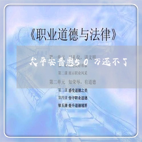 欠平安普惠50万还不了/2023020595594