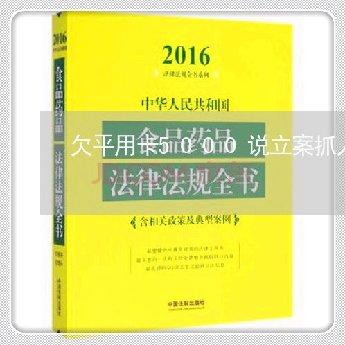 欠平用卡5000说立案抓人