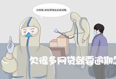 欠很多网贷就要逾期怎么办