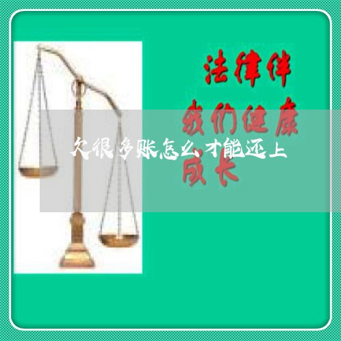 欠很多账怎么才能还上/2023030219383 欠很多账怎么才能还上/2023030219383