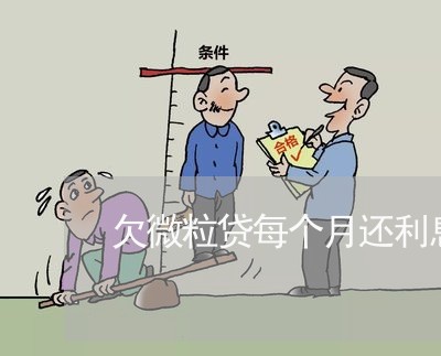 欠微粒贷每个月还利息