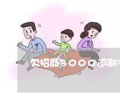 欠招商3000逾期3个月/2023062875057