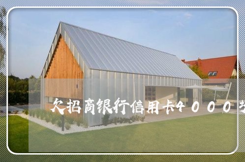 欠招商银行信用卡4000块