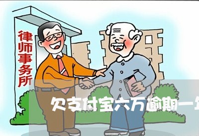 欠支付宝六万逾期一年