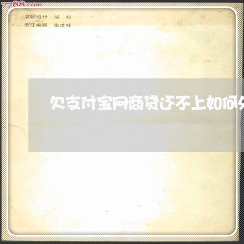 欠支付宝网商贷还不上如何处理