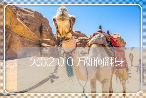 欠款200万如何翻身/2023030260694