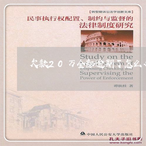 欠款20万全部逾期了怎么办