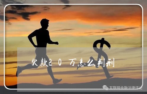 欠款20万怎么判刑/2023022549405