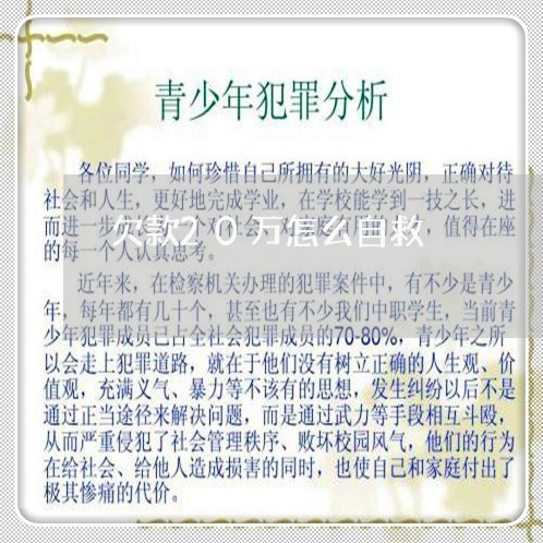 欠款20万怎么自救/2023022604725 欠款20万怎么自救/2023022604725