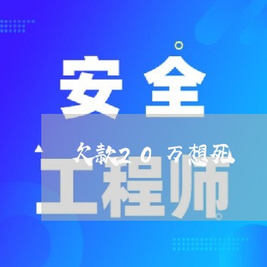 欠款20万想死/2023022427382