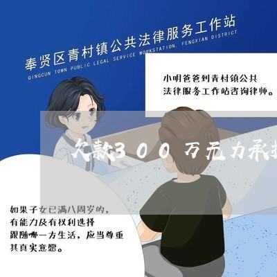 欠款300万无力承担刑事责任/2023012851506