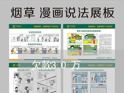 欠款30万/2023022464838 欠款30万/2023022464838