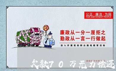 欠款70万无力偿还坐牢/2023012294948