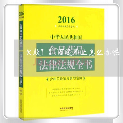 欠款70万还不上怎么办呢/2023061741816