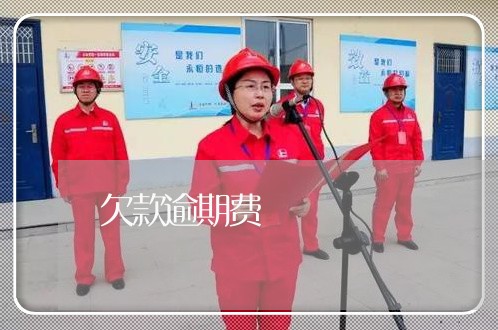 欠款逾期费