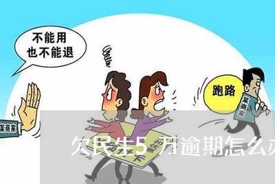 欠民生5万逾期怎么办理 欠民生5万逾期怎么办理