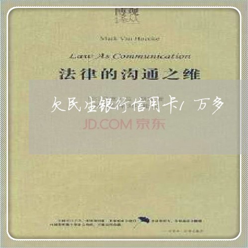 欠民生银行信用卡1万多 欠民生银行信用卡1万多