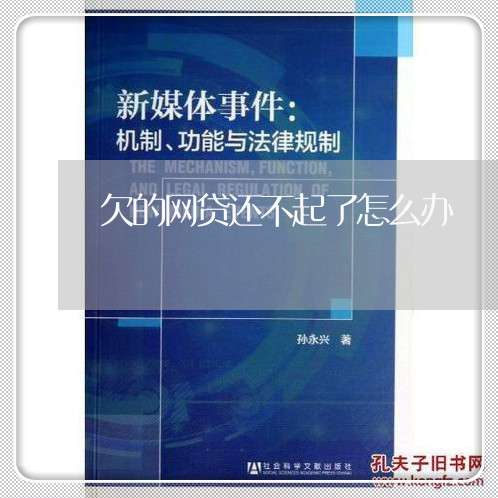 欠的网贷还不起了怎么办/2023100753737