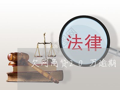 欠网商贷20万逾期/2023030191696 欠网商贷20万逾期/2023030191696