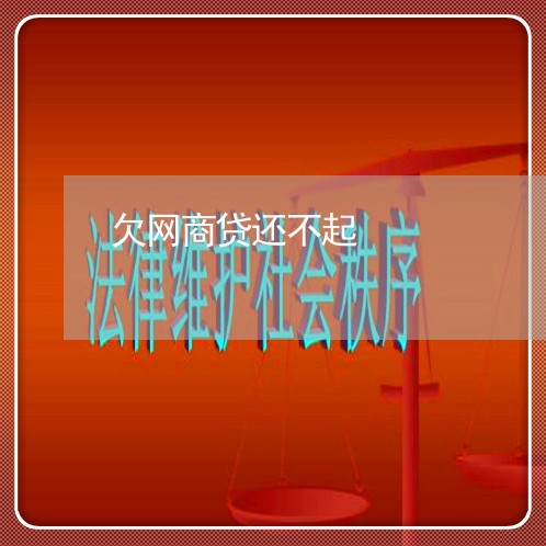欠网商贷还不起/2023030127247