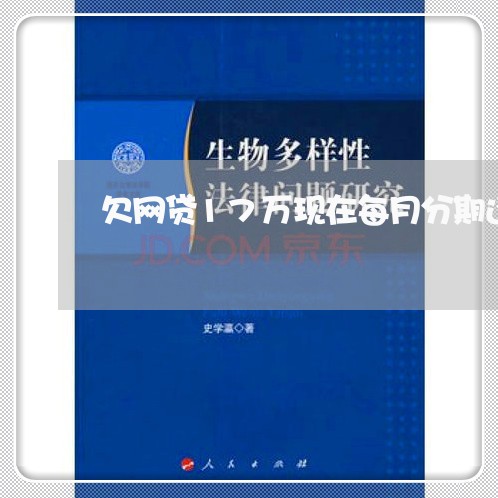 欠网贷17万现在每月分期还款