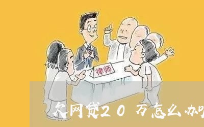 欠网贷20万怎么办呢/2023030170615 欠网贷20万怎么办呢/2023030170615