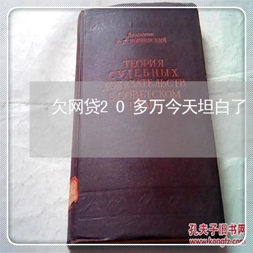 欠网贷20多万今天坦白了 欠网贷20多万今天坦白了