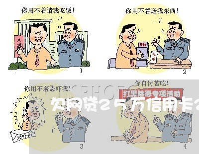 欠网贷25万信用卡20万