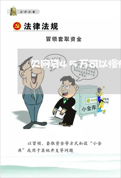 欠网贷45万可以慢慢还吗 欠网贷45万可以慢慢还吗